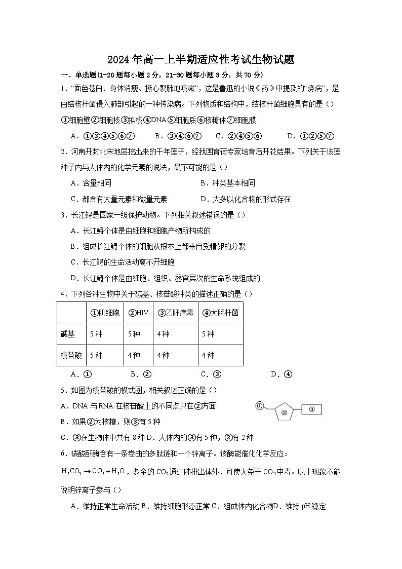 四川省遂宁市船山区四川省遂宁中学校2024-2025学年高一上学期11月期中生物试题第1页