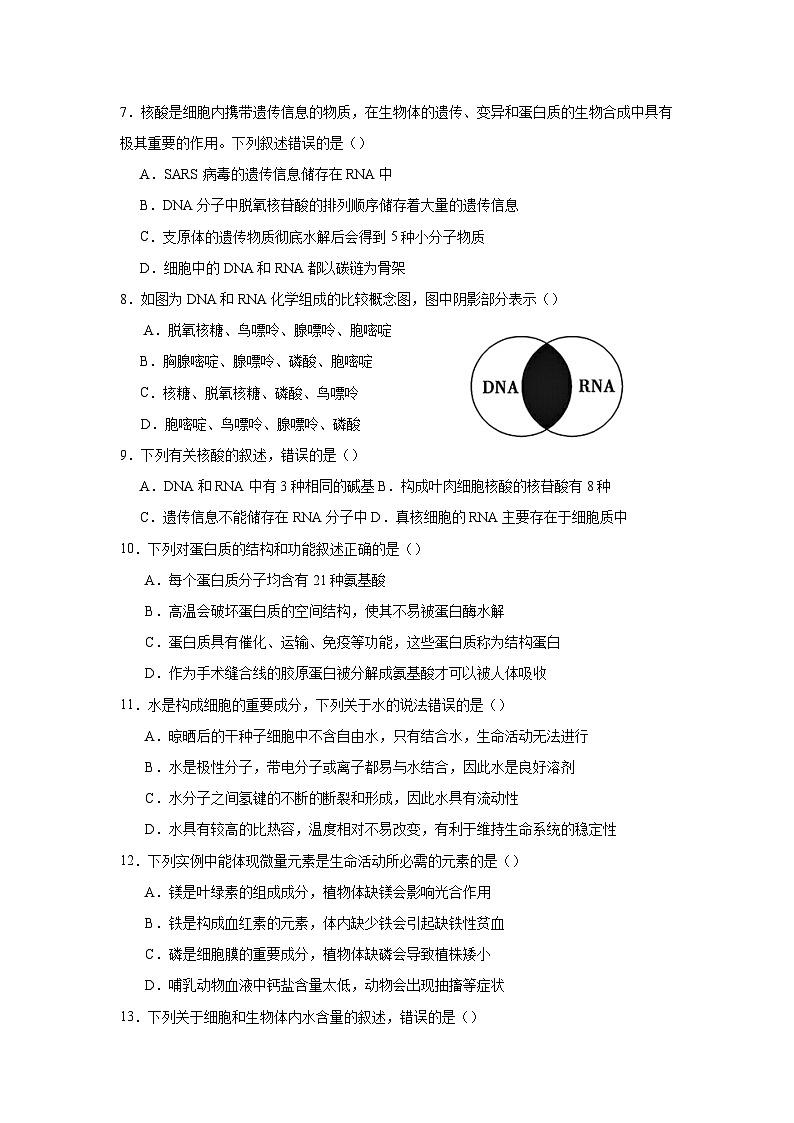 四川省遂宁市船山区四川省遂宁中学校2024-2025学年高一上学期11月期中生物试题第2页