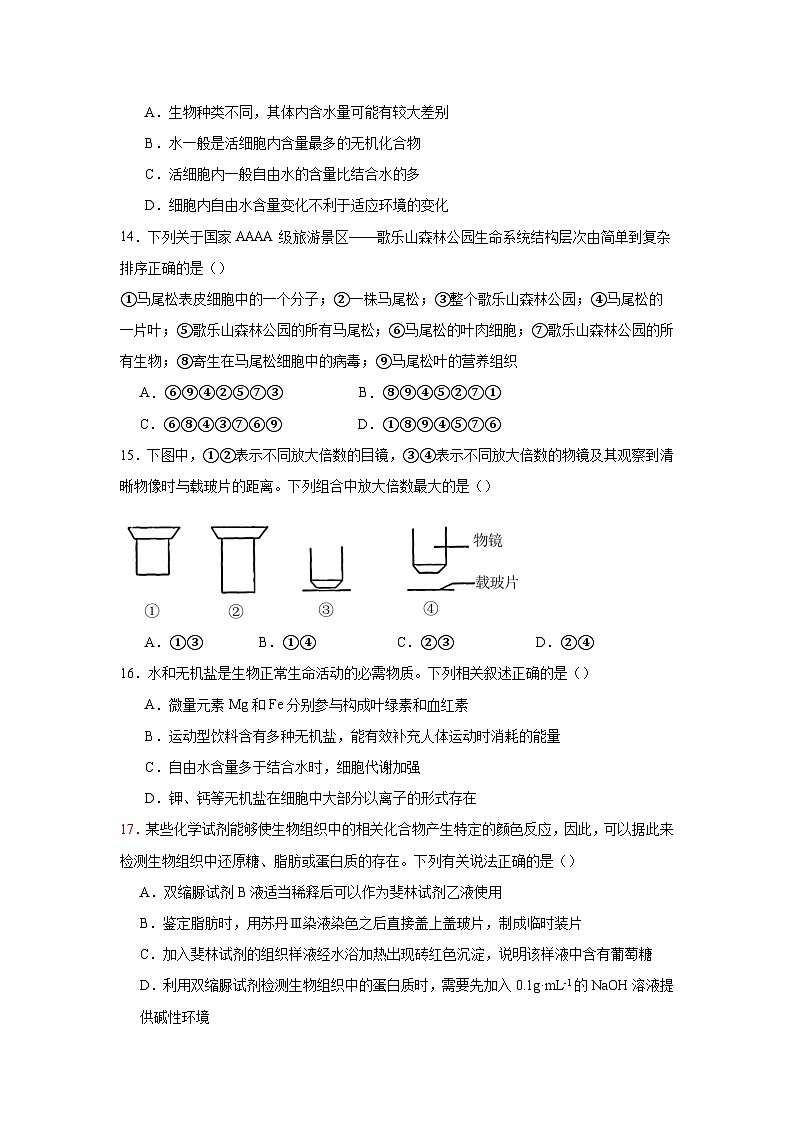 四川省遂宁市船山区四川省遂宁中学校2024-2025学年高一上学期11月期中生物试题第3页