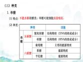 2.3 细胞中的糖类和脂质-2024-2025学年高一生物同步教学实用课件（人教版2019必修1）