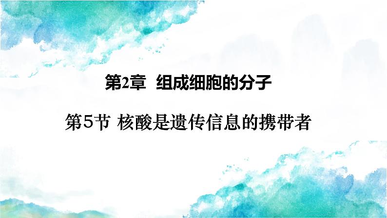 2.5核酸是遗传信息的携带者课件-2024-2025学年高一上学期生物人教版必修1第1页