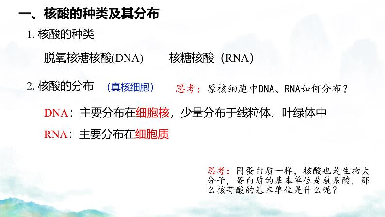 2.5核酸是遗传信息的携带者课件-2024-2025学年高一上学期生物人教版必修1第4页