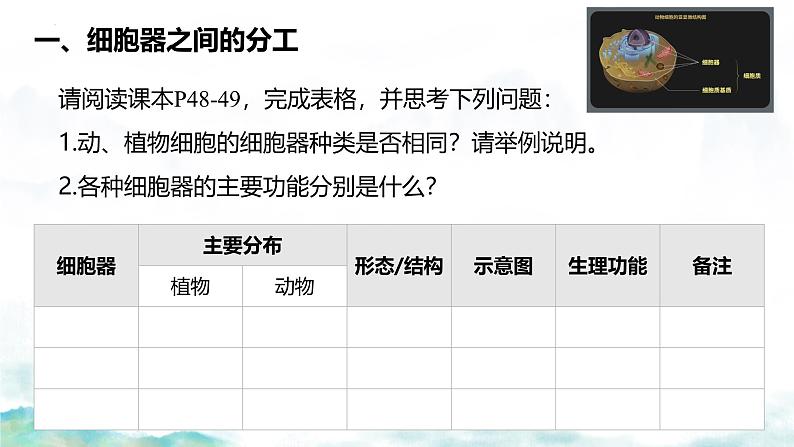 3.2细胞器之间的分工合作-2024-2025学年高一生物同步教学实用课件（人教版2019必修1）第7页