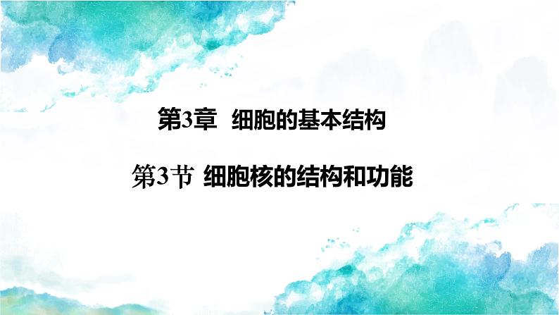 3.3 细胞核的结构和功能-2024-2025学年高一生物同步教学实用课件（人教版2019必修1）第1页