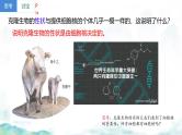 3.3 细胞核的结构和功能-2024-2025学年高一生物同步教学实用课件（人教版2019必修1）