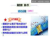 4.1 被动运输-2024-2025学年高一生物同步教学课件（人教版2019必修1）