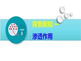 4.1 被动运输-2024-2025学年高一生物同步教学课件（人教版2019必修1）