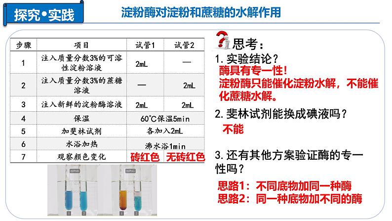 5.1 降低化学反应活化能的酶（二、 酶的特性） -2024-2025学年高一生物同步教学课件（人教版2019必修1）第8页