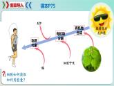 5.1 降低化学反应活化能的酶（一  酶的作用和本质）-2024-2025学年高一生物同步教学课件（人教版2019必修1）