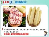 5.1 降低化学反应活化能的酶（一  酶的作用和本质）-2024-2025学年高一生物同步教学课件（人教版2019必修1）