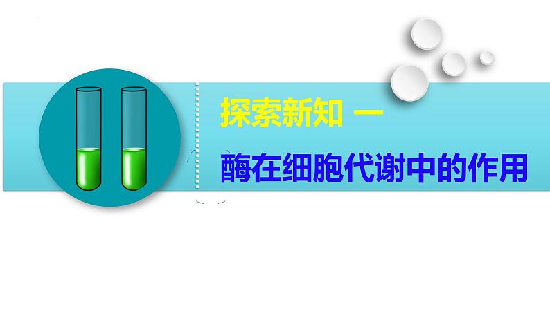 5.1 降低化学反应活化能的酶（一  酶的作用和本质）-2024-2025学年高一生物同步教学课件（人教版2019必修1）04