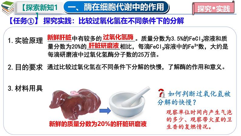 5.1 降低化学反应活化能的酶（一  酶的作用和本质）-2024-2025学年高一生物同步教学课件（人教版2019必修1）06