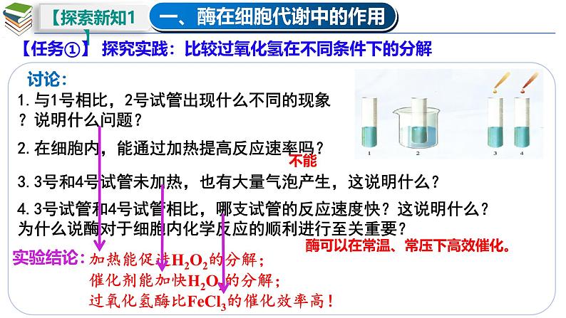 5.1 降低化学反应活化能的酶（一  酶的作用和本质）-2024-2025学年高一生物同步教学课件（人教版2019必修1）08