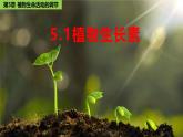 5.1 植物生长素-2024-2025学年高二生物上册同步备课课件（人教版2019选择性必修1）