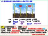 5.1 植物生长素-2024-2025学年高二生物上册同步备课课件（人教版2019选择性必修1）