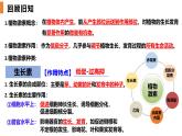 5.2 其他植物激素-2024-2025学年高二生物上册同步备课课件（人教版2019选择性必修1）