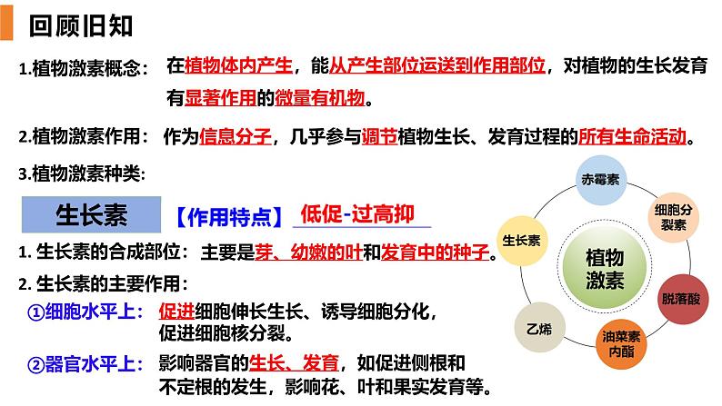 5.2 其他植物激素-2024-2025学年高二生物上册同步备课课件（人教版2019选择性必修1）第2页