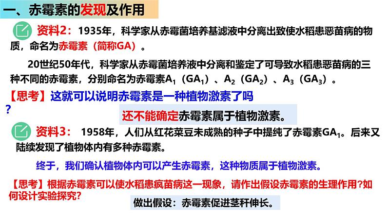 5.2 其他植物激素-2024-2025学年高二生物上册同步备课课件（人教版2019选择性必修1）第4页