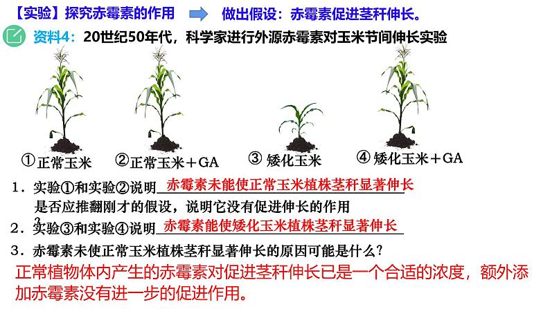 5.2 其他植物激素-2024-2025学年高二生物上册同步备课课件（人教版2019选择性必修1）第5页