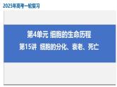 2025高三一轮复习生物：细胞的分化、衰老、死亡 课件
