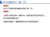 2025高三一轮复习生物：细胞的分化、衰老、死亡 课件