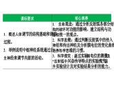 第35讲 神经调节的结构基础及基本方式-  备战2025年高考生物一轮复习精品课件