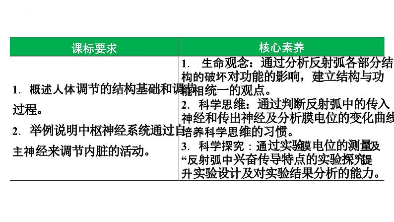 第35讲 神经调节的结构基础及基本方式-  备战2025年高考生物一轮复习精品课件第2页