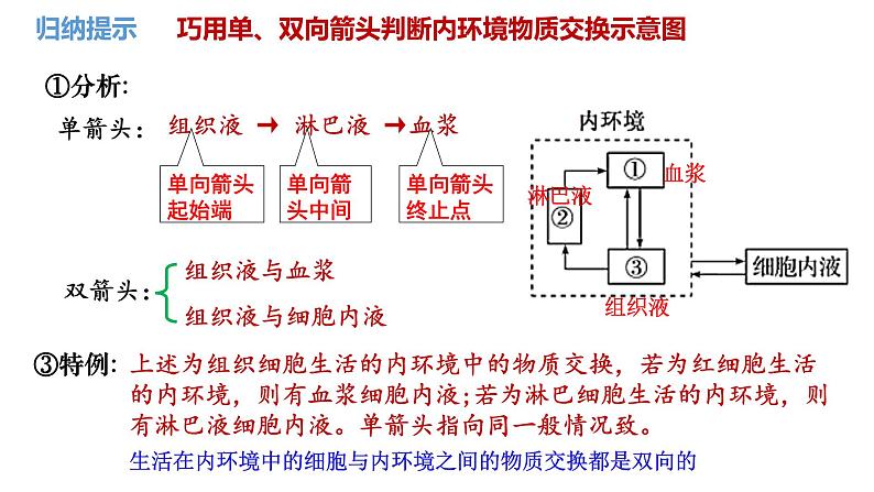 第34讲 人体内环境和稳态-  备战2025年高考生物一轮复习精品课件第7页