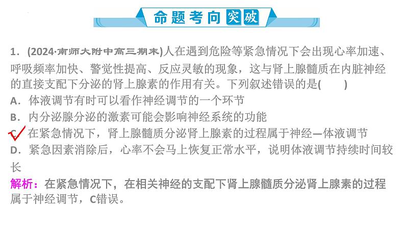 第38讲 体液调节和神经调节的关系-  备战2025年高考生物一轮复习精品课件07