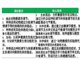 第37讲 激素调节- 备战2025年高考生物一轮复习精品课件