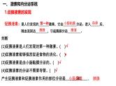 第37讲 激素调节- 备战2025年高考生物一轮复习精品课件