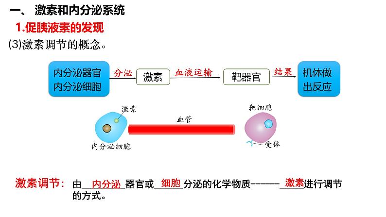 第37讲 激素调节- 备战2025年高考生物一轮复习精品课件第6页