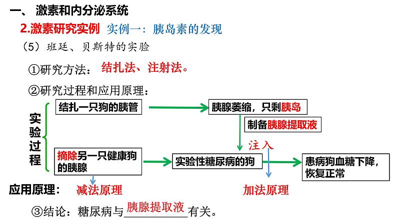 第37讲 激素调节- 备战2025年高考生物一轮复习精品课件第8页