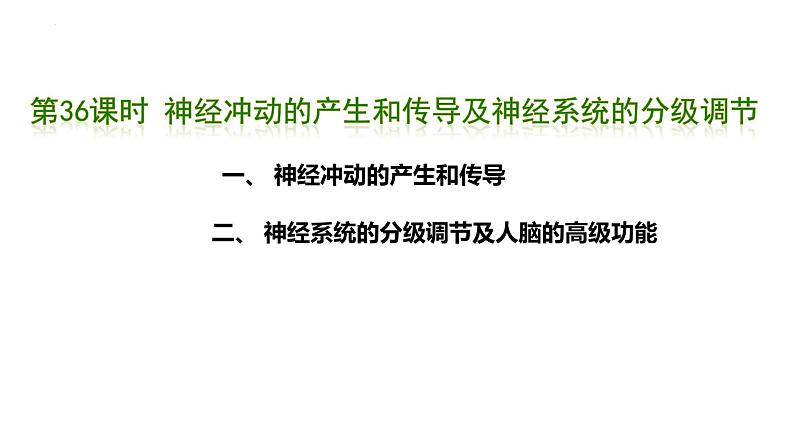 第36讲 神经冲动的产生和传导 及神经系统的分级调节-  备战2025年高考生物一轮复习精品课件第1页