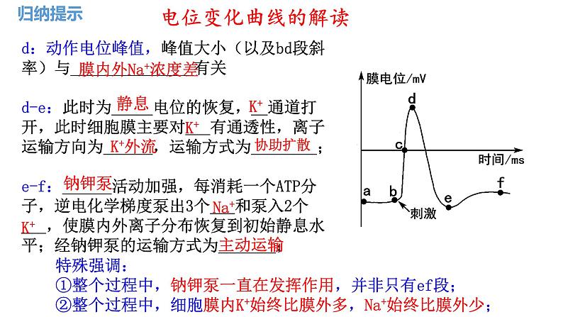 第36讲 神经冲动的产生和传导 及神经系统的分级调节-  备战2025年高考生物一轮复习精品课件第7页