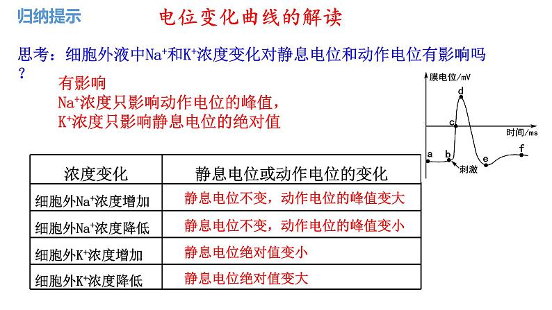 第36讲 神经冲动的产生和传导 及神经系统的分级调节-  备战2025年高考生物一轮复习精品课件第8页