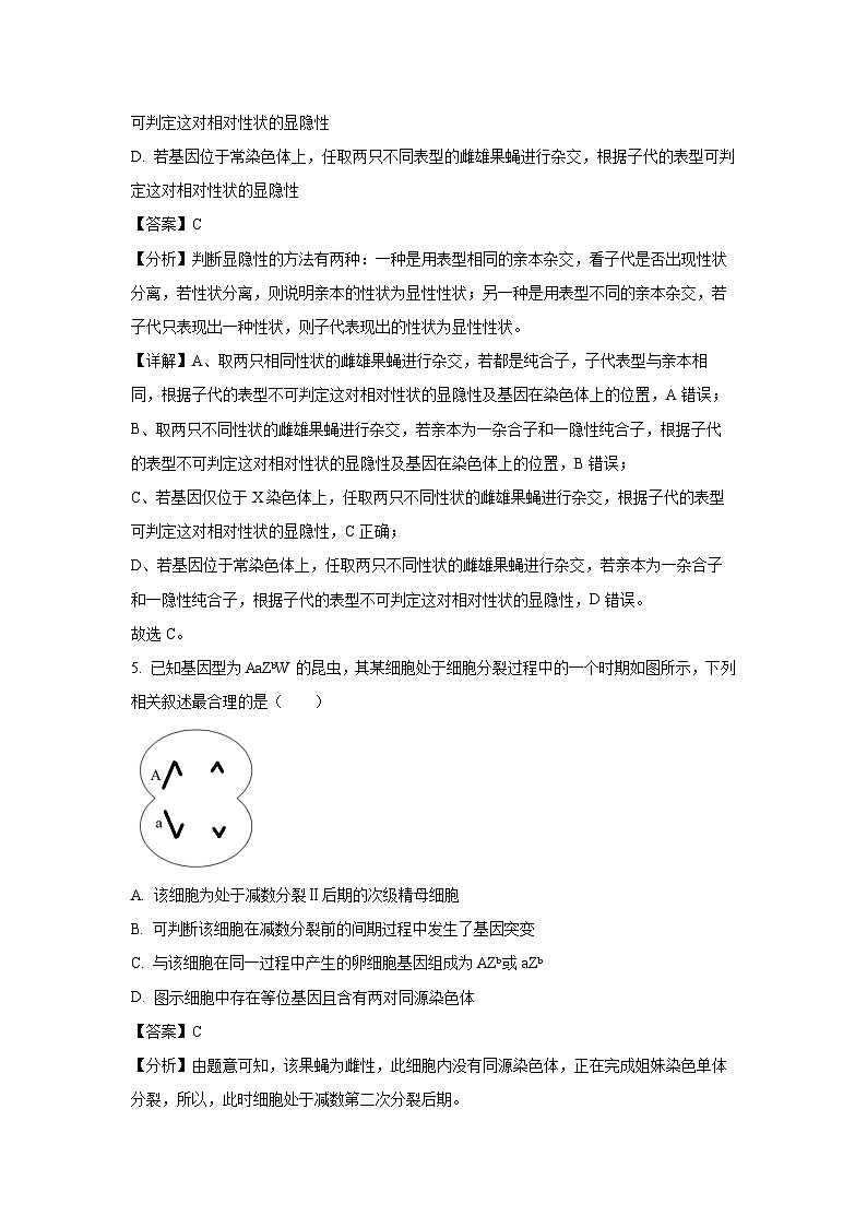 2024届江西省南昌市高三下学期第三次模拟测试生物试卷(解析版)第3页