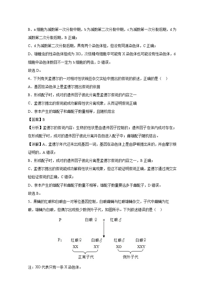北京市2023-2024学年高一下学期期末冲刺卷生物试卷(解析版)第3页