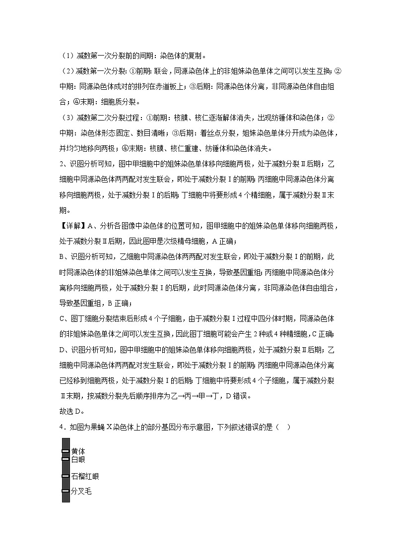 北京市2023-2024学年高一下学期期末冲刺卷2生物试卷(解析版)第3页