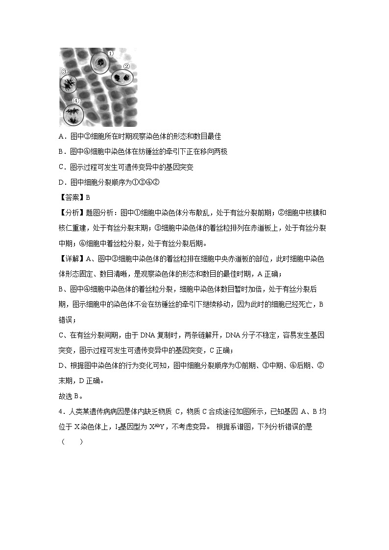 冲刺江苏高考押题必刷卷02生物试卷(解析版)第3页
