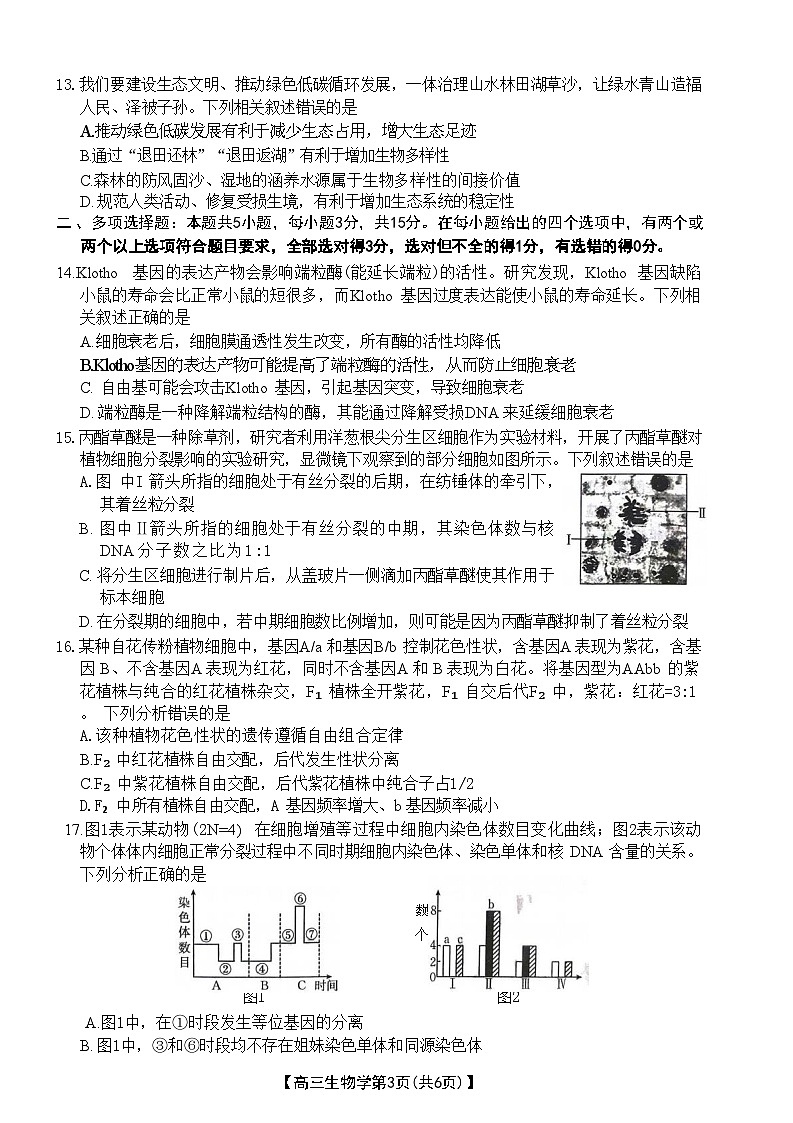 河北省衡水市桃城区2024-2025学年高三上学期10月月考生物试卷（Word版附答案）第3页