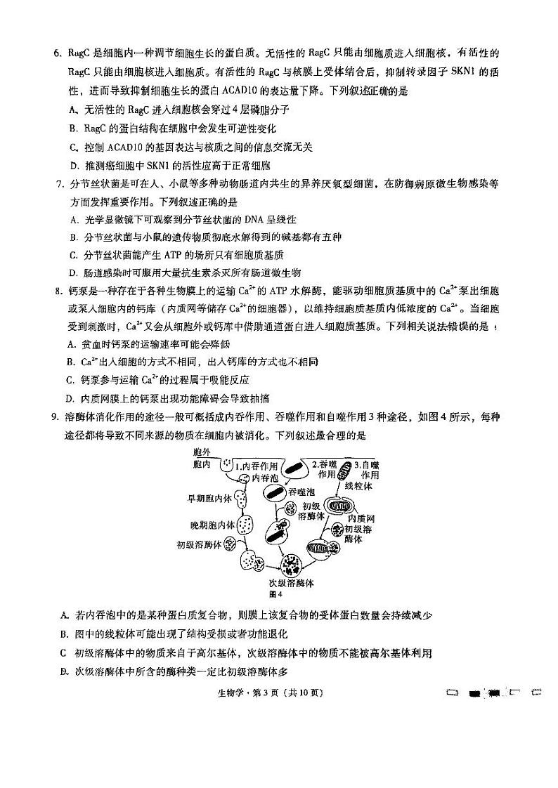 重庆市渝中区巴蜀中学校2024-2025学年高三上学期9月月考生物试题第3页