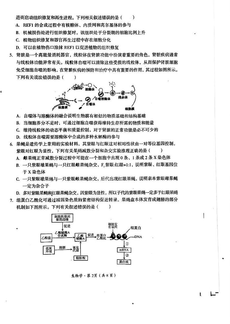 2025届四川省巴中市高三“零诊”考试+生物第2页