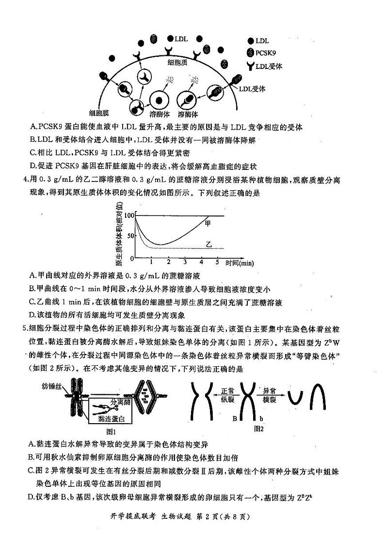 山东省百师联盟高三开学摸底联考+生物第2页