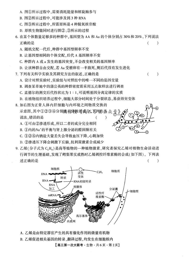 2024年高三上学期9月第一次大联考生物试题第2页