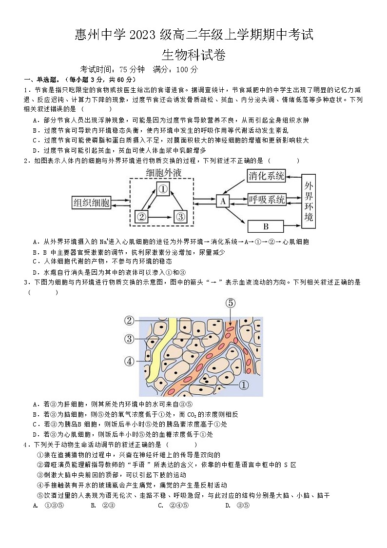 广东省惠州市惠城区惠州中学2024-2025学年高二上学期11月期中考试生物试题第1页