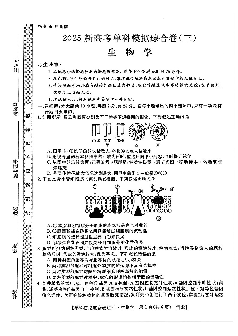 河北省邯郸市部分校2024-2025学年高三上学期期中考试生物试卷01