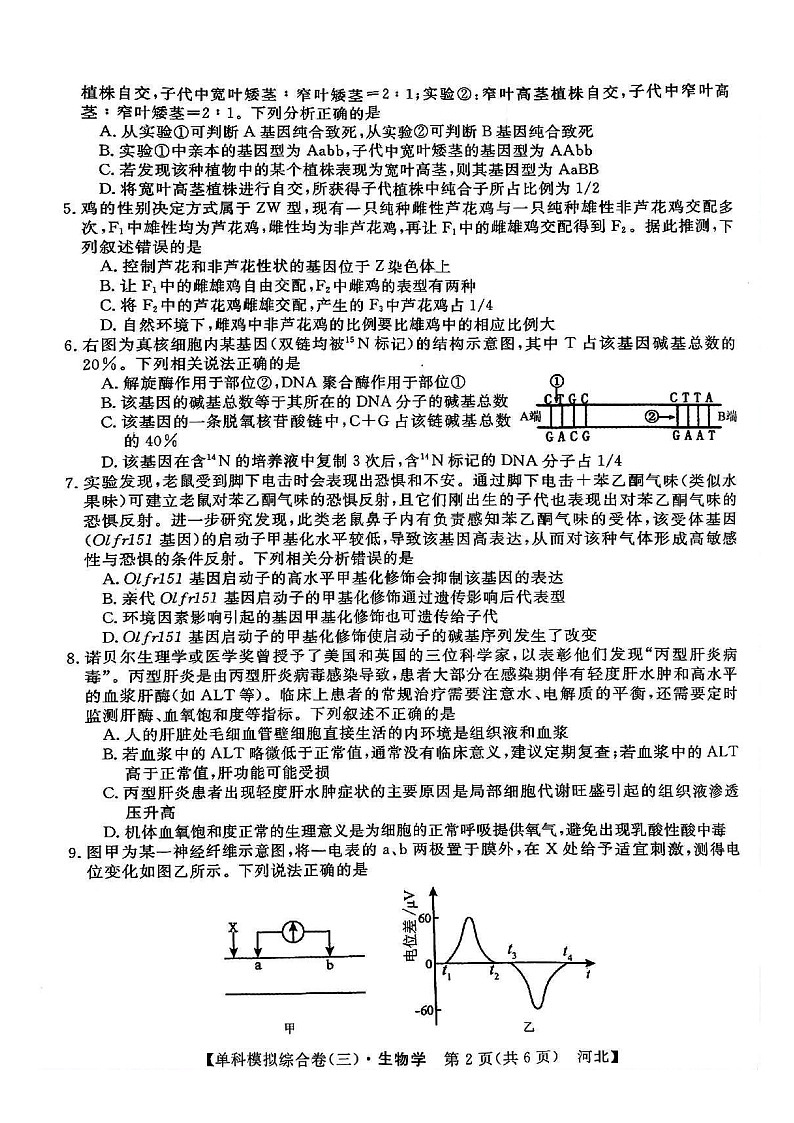 河北省邯郸市部分校2024-2025学年高三上学期期中考试生物试卷02