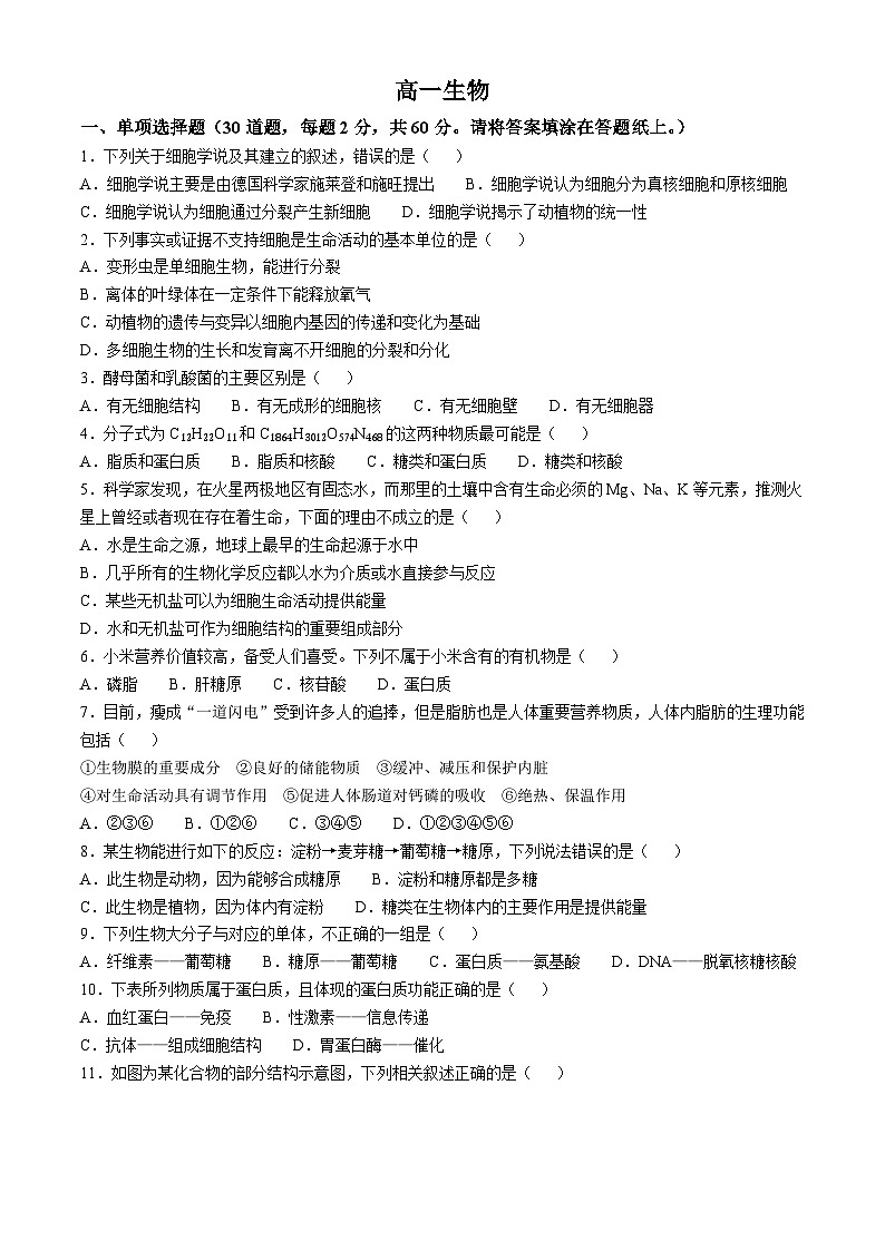 天津市红桥区2024-2025学年高一上学期期中考试生物试卷第1页