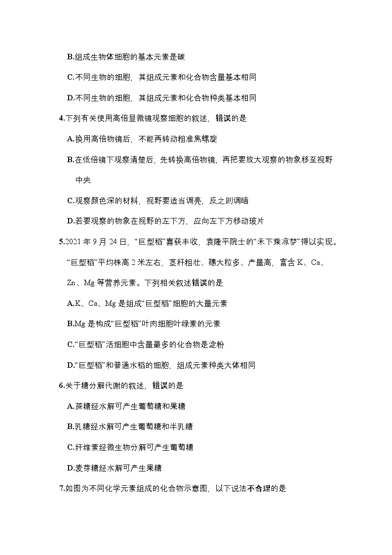 河南省郑州市十校2024-2025学年高一上学期期中联考生物试卷第2页